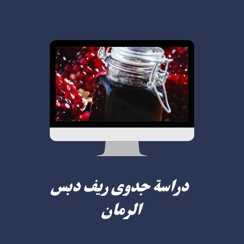 دراسة جدوى ريف دبس الرمان 