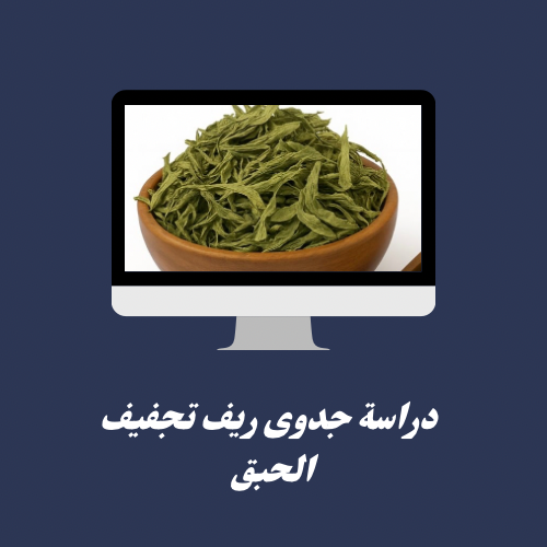 دراسة جدوى ريف تجفيف الحبق 